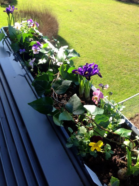 2014-03-12 11.59.28-1