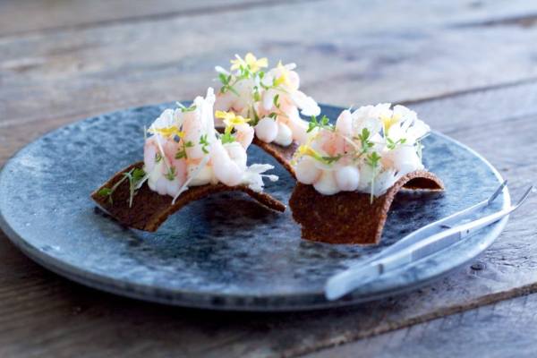 En lille rejemad med rygeostcreme og blomkål. Anrettet af Thomas Jaime Alcayaga