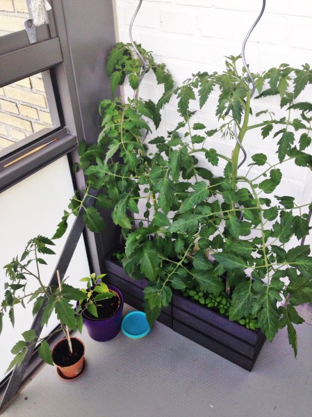 2014-06-12 09.30.51-1