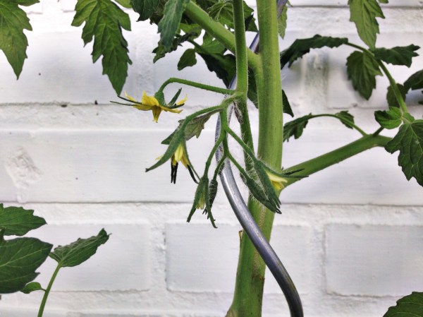 2014-06-12 09.31.01-1