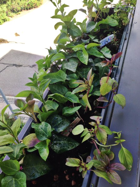 2014-06-12 09.31.19-1