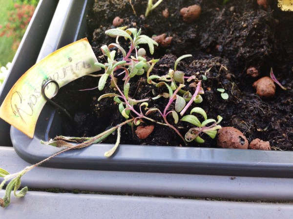 2014-06-12 09.31.27-1