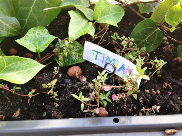 2014-06-12 09.31.43-1