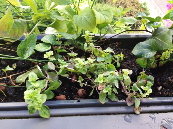 2014-06-12 09.32.17-1