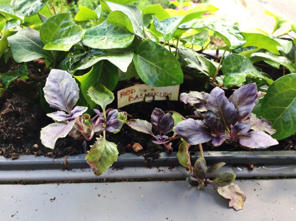 2014-06-12 09.32.33-1