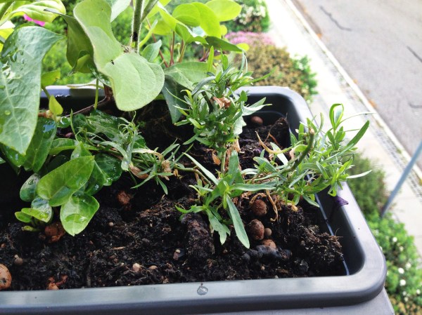 2014-06-12 09.32.40-1