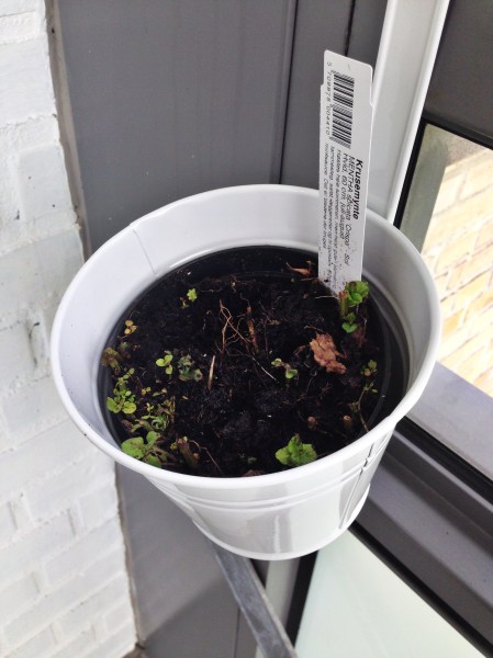 2014-06-12 09.35.03-1