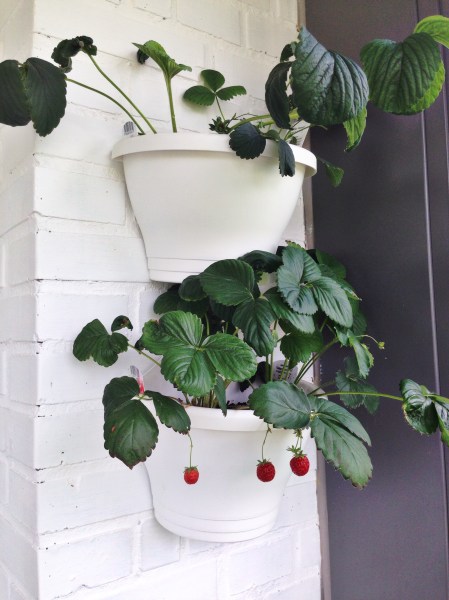 2014-06-12 09.35.15-1