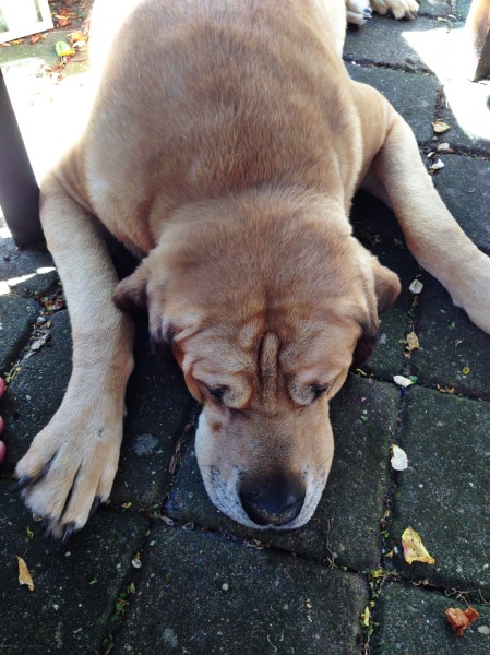 2014-06-15 09.54.24-1