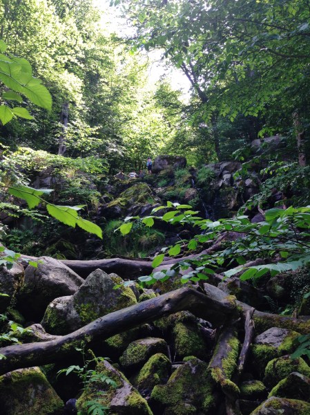 2014-06-30 12.55.27-1