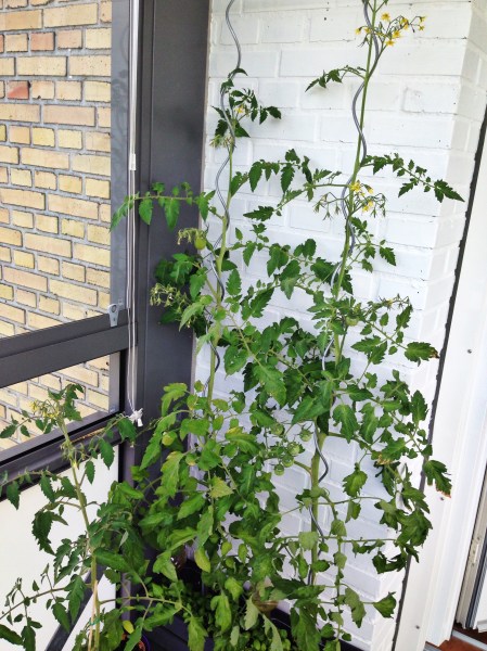 2014-07-16 13.17.05-1