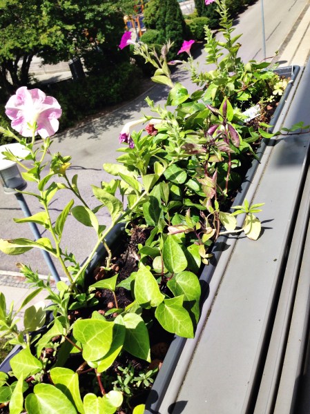 2014-07-16 13.17.59-1